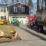 Tree removal and trimming