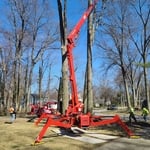 Tree removal and trimming