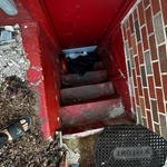 Before steps