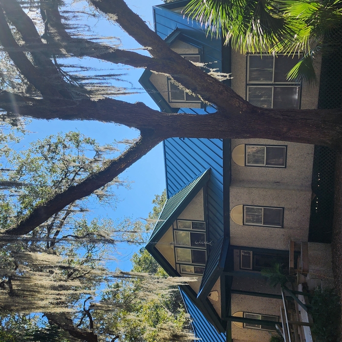 Cumberland Island Standing Seam