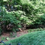 Holliston - BEFORE yard clearing & lawn installation