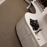 Business office