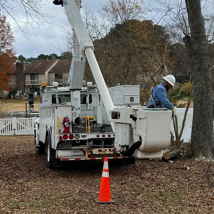 Landscaping Project