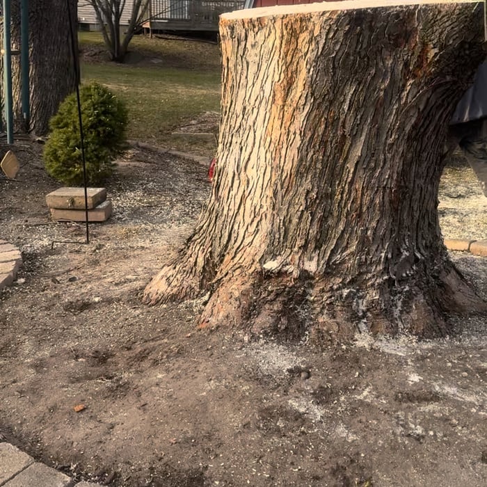 Tree Removak