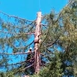 During the Removal with crane