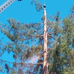 During the Removal with crane