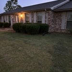 Leaf Removal Project