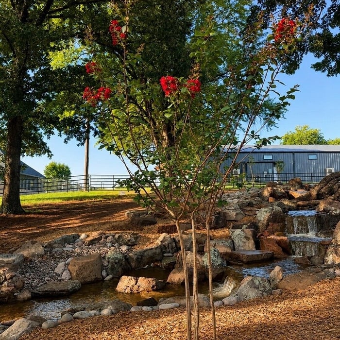Pondless Stream