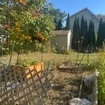Garden bed 1