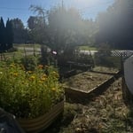 Garden bed 2