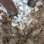 Old Damaged Pipe