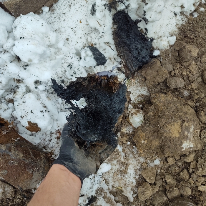 Mud & Debris