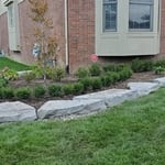 Landscaping Project