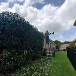 Additional Photos