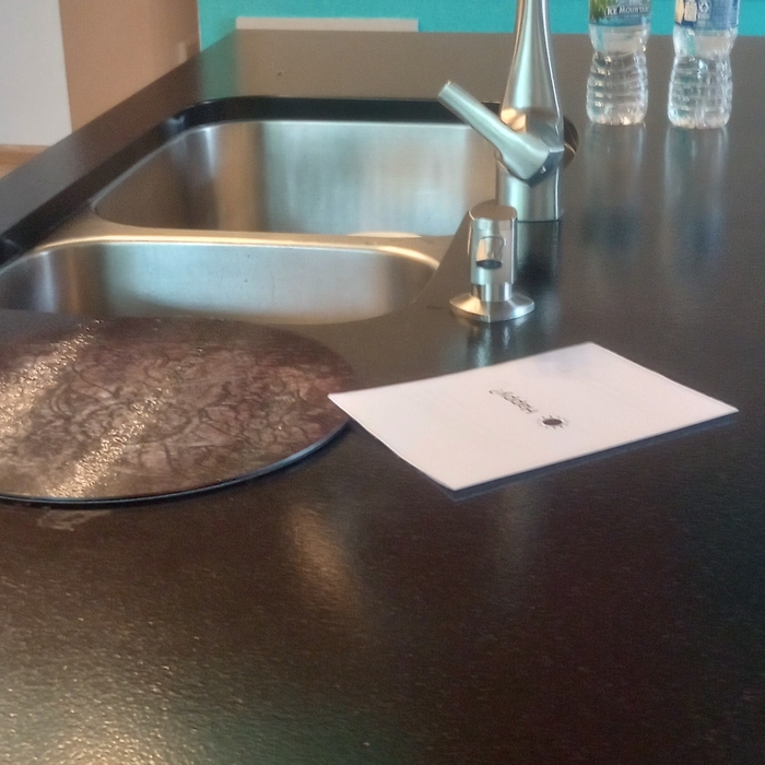 Dust, Sanitize