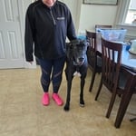 We have moved Luna and her family twice now.