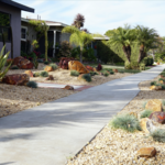 Long Beach Xeriscape
