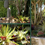 Tropical Planters