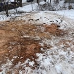 2024 Snow Storm