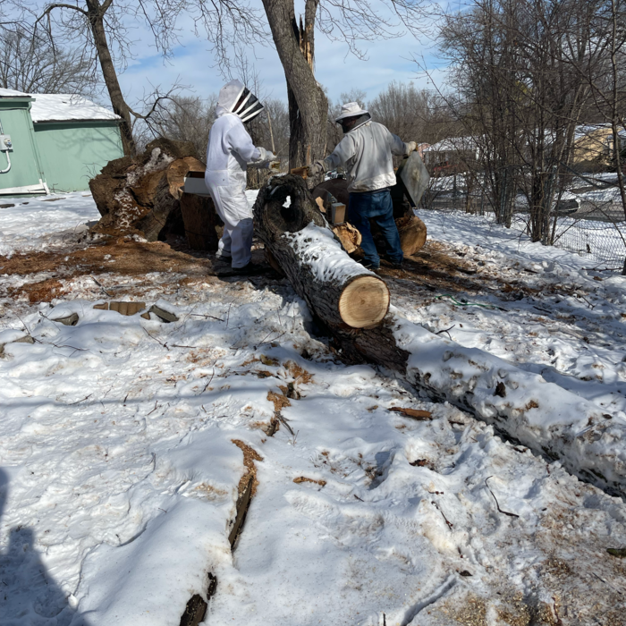 Additional Photos
