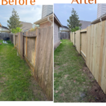 Fence Replacement