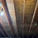 Black attic mold after