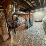 Basement mold before