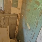 Shower surround