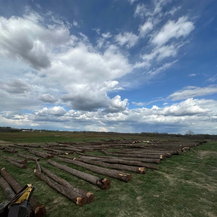 Timber harvesting job