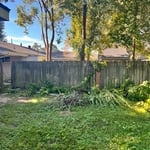 Backyard tree removal and fence line clearing