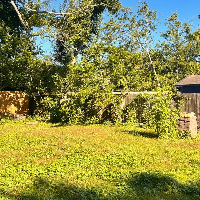 Backyard tree removal and fence line clearing