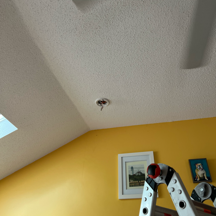 Additional Photos