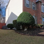 Lawn and Yard Work Project