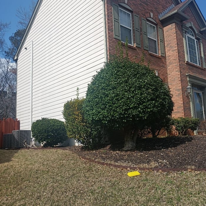Lawn and Yard Work Project