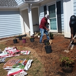 Flowerbeds