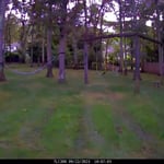 Backyard Solar Lights