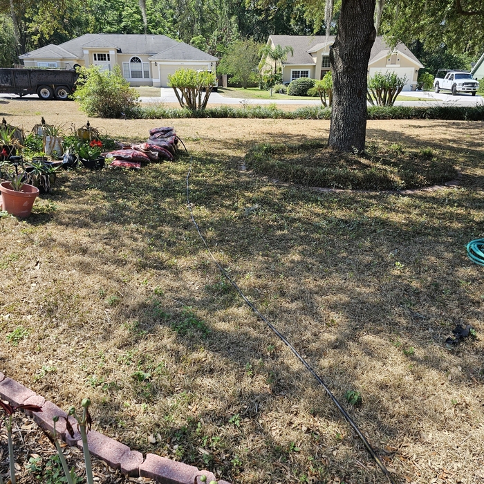 Tree Service Project