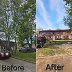 3 Trees removed.