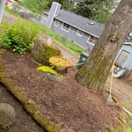 Mowing and Flower bed clean up.