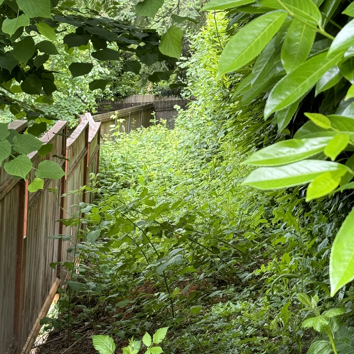 Lawn and Yard Work Project