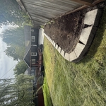 Landscaping Project