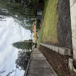 Landscaping Project