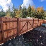 New fence