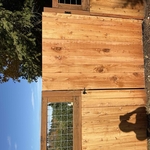 New fence