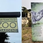 SF Zoo / Rhino Enclosure