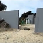 SF Zoo / Rhino Enclosure