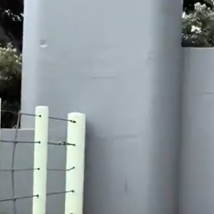 SF Zoo / Rhino Enclosure