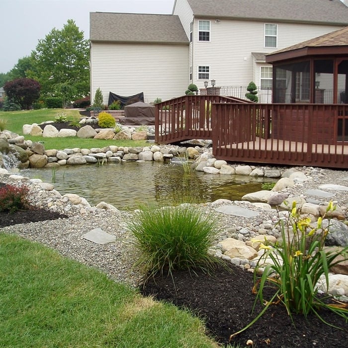 Backyard Pond