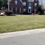 Tree Service Project
