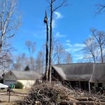 Tree Service Project